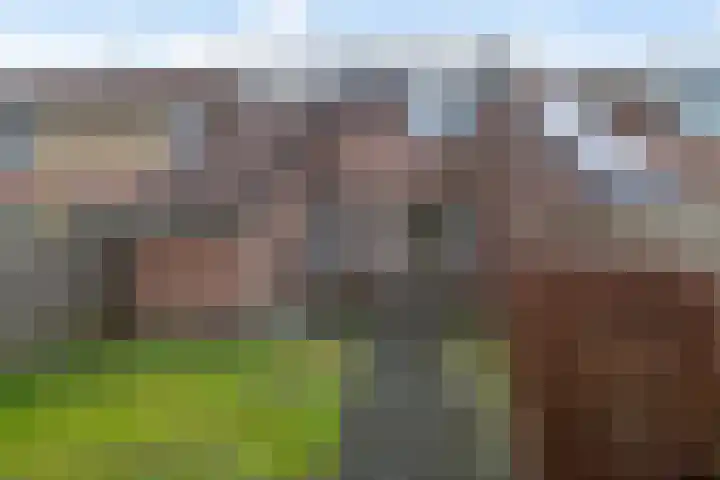 Kerspel 14 Annen thumbnail 25