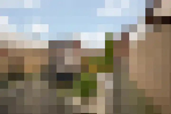 Kerspel 17 Zwanenburg thumbnail 15