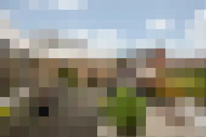 Kerspel 17 Zwanenburg thumbnail 5
