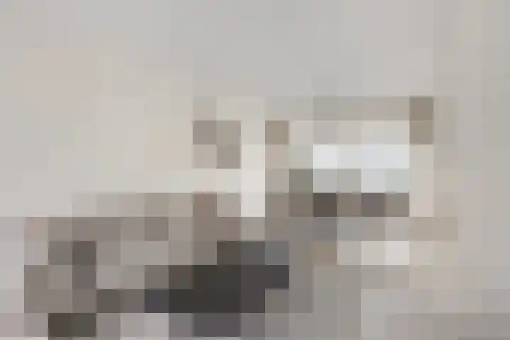 Kerspel 19 Zwanenburg thumbnail 12