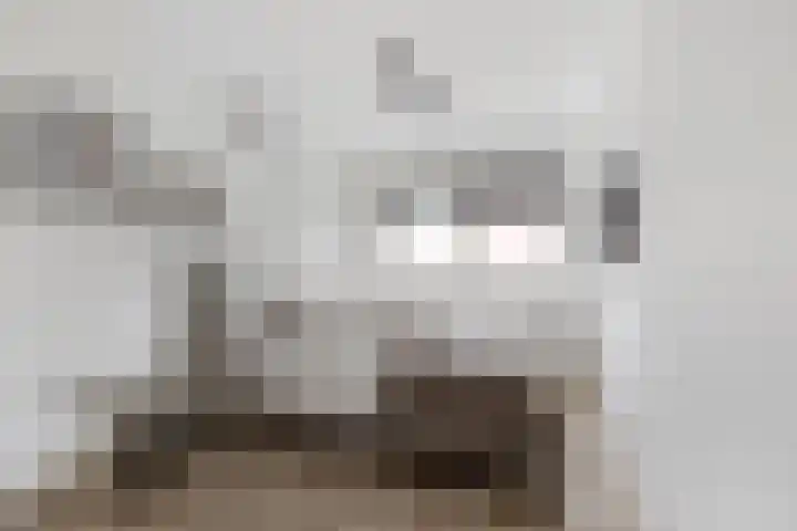 Kerspel 19 Zwanenburg thumbnail 16
