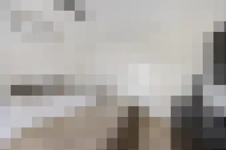 Kerspel 19 Zwanenburg thumbnail 19