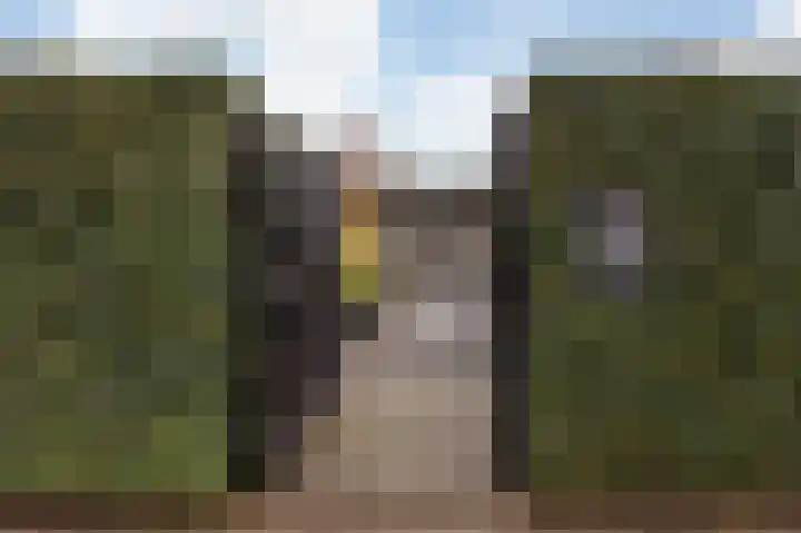 Kerspel 19 Zwanenburg thumbnail 24