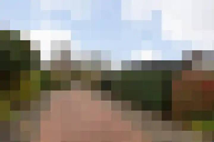 Kerspel 19 Zwanenburg thumbnail 25