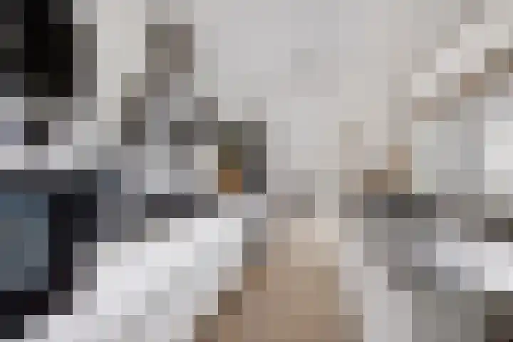 Kerspel 19 Zwanenburg thumbnail 5