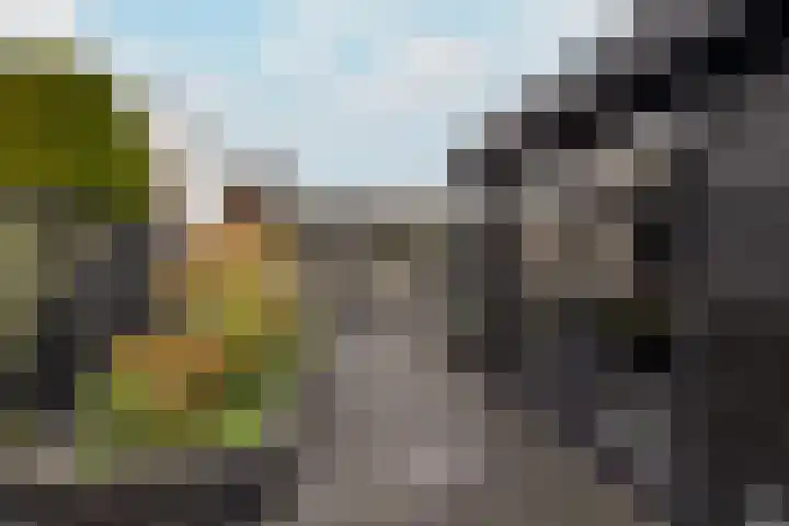 Kerspel 19 Zwanenburg thumbnail 9
