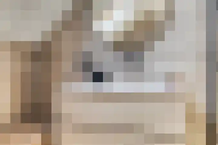 Kerspel 22 Winsum thumbnail 23