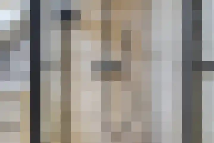 Kerspel 22 Winsum thumbnail 24