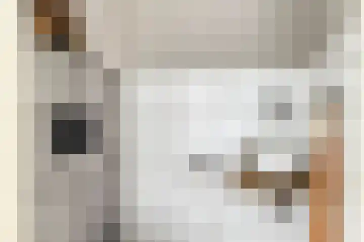 Kerspel 22 Winsum thumbnail 9