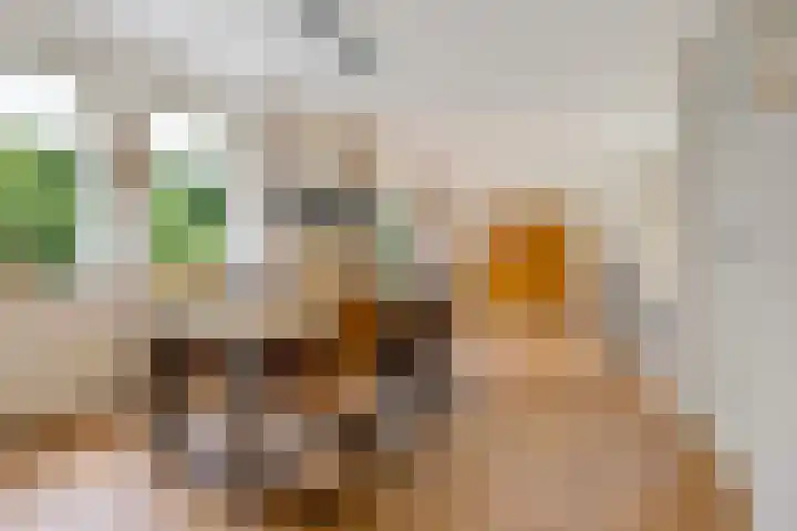 Kerspel 3 Zuidwolde thumbnail 11