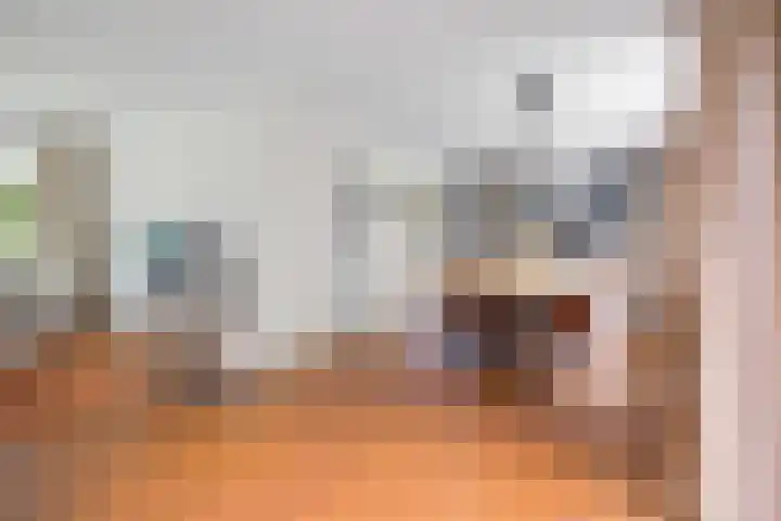 Kerspel 3 Zuidwolde thumbnail 13