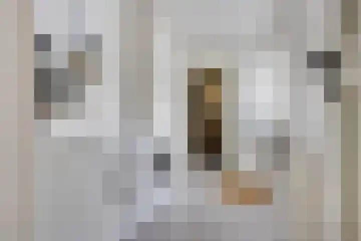Kerspel 3 Zuidwolde thumbnail 17