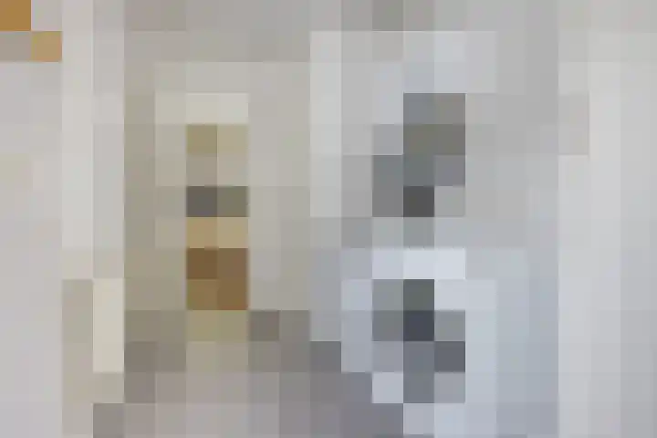Kerspel 3 Zuidwolde thumbnail 18