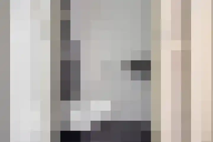 Kerspel 3 Zuidwolde thumbnail 20