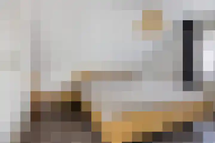Kerspel 3 Zuidwolde thumbnail 30