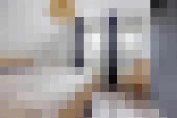 Kerspel 3 Zuidwolde thumbnail 31