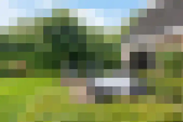 Kerspel 3 Zuidwolde thumbnail 36