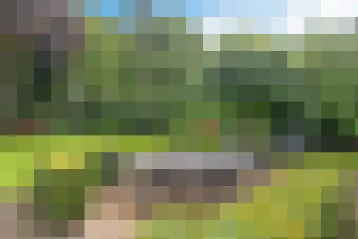 Kerspel 3 Zuidwolde thumbnail 37