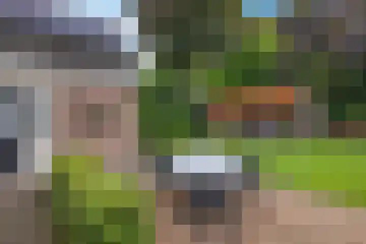 Kerspel 3 Zuidwolde thumbnail 38