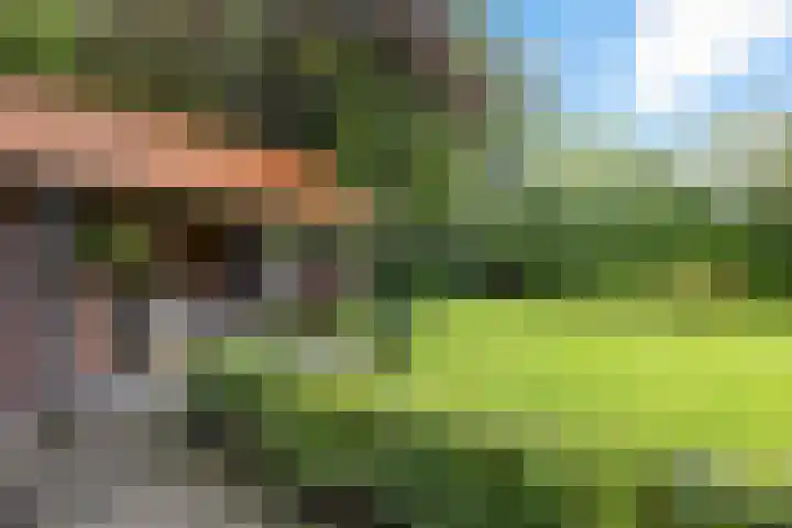 Kerspel 3 Zuidwolde thumbnail 39