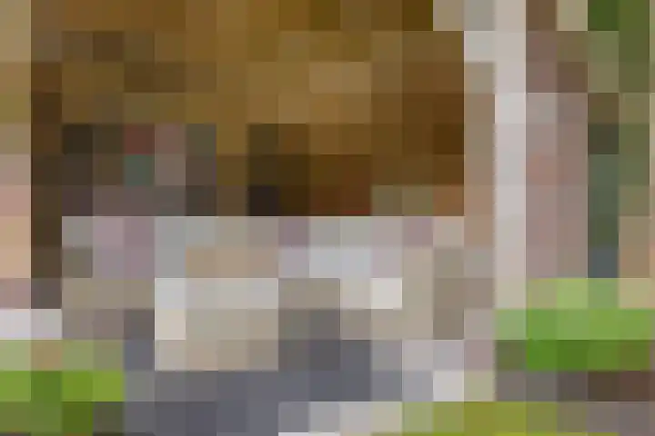 Kerspel 3 Zuidwolde thumbnail 40