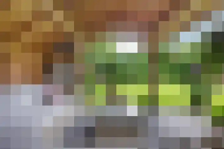 Kerspel 3 Zuidwolde thumbnail 41