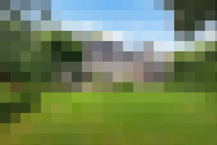 Kerspel 3 Zuidwolde thumbnail 42