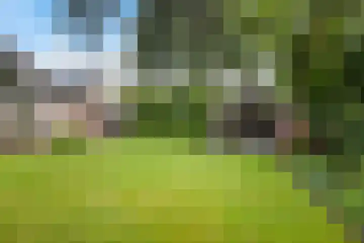 Kerspel 3 Zuidwolde thumbnail 43