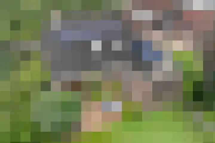 Kerspel 3 Zuidwolde thumbnail 44