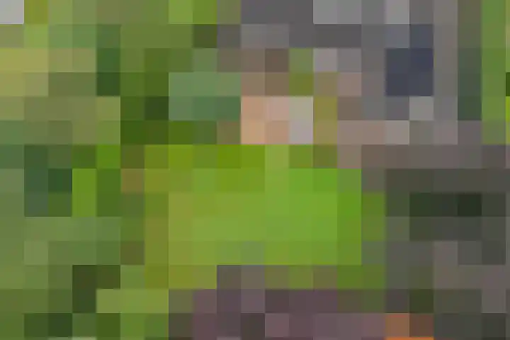 Kerspel 3 Zuidwolde thumbnail 45