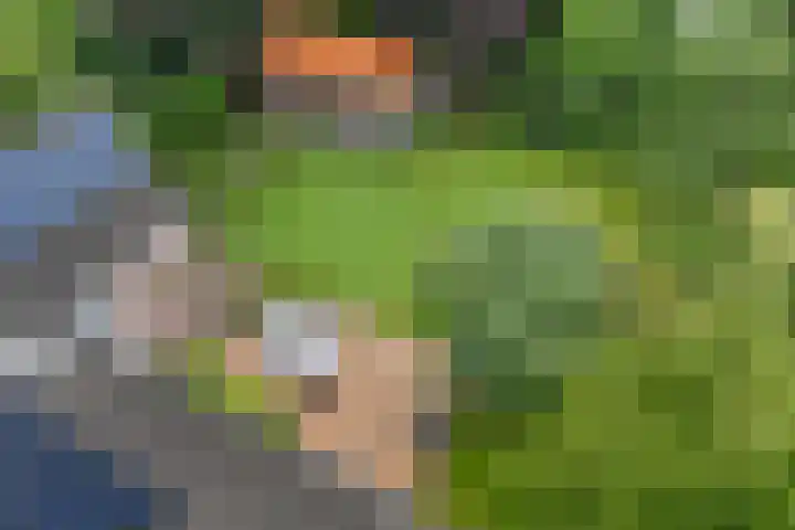 Kerspel 3 Zuidwolde thumbnail 46