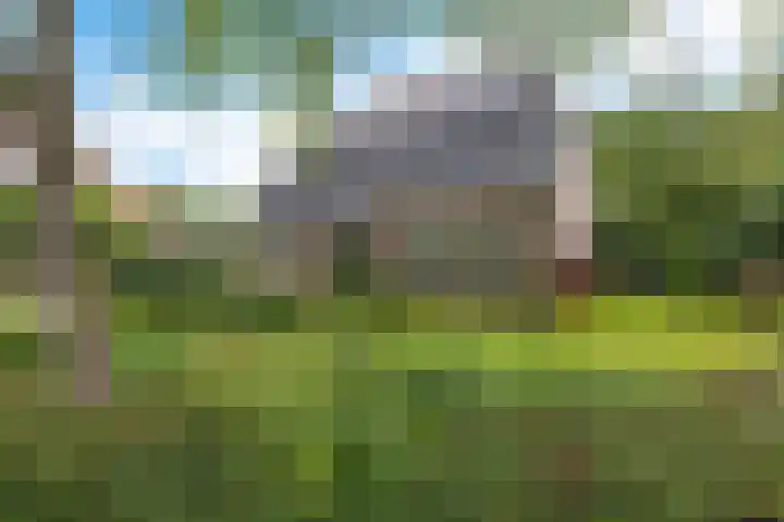 Kerspel 3 Zuidwolde thumbnail 48