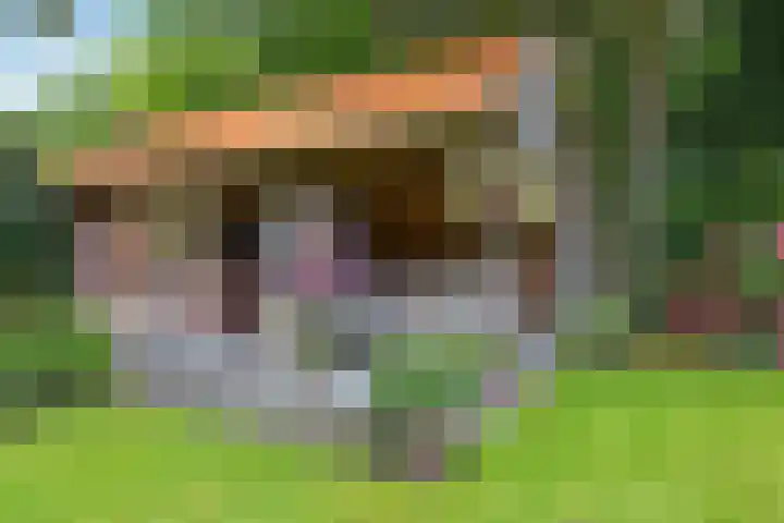 Kerspel 3 Zuidwolde thumbnail 5