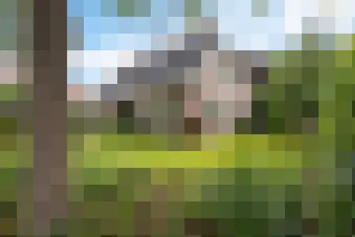 Kerspel 3 Zuidwolde thumbnail 50
