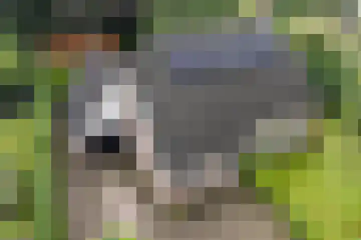 Kerspel 3 Zuidwolde thumbnail 51