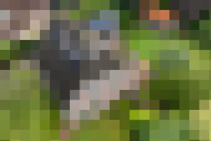 Kerspel 3 Zuidwolde thumbnail 52