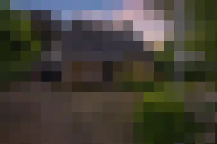 Kerspel 3 Zuidwolde thumbnail 53