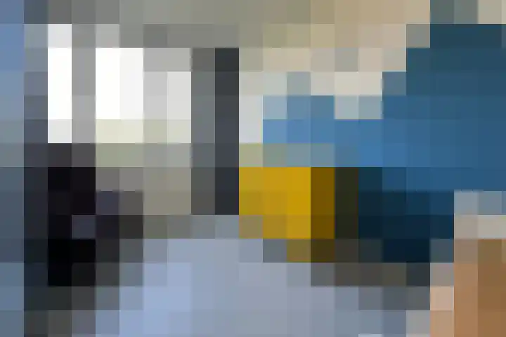 Kerspel 48 Vries thumbnail 23