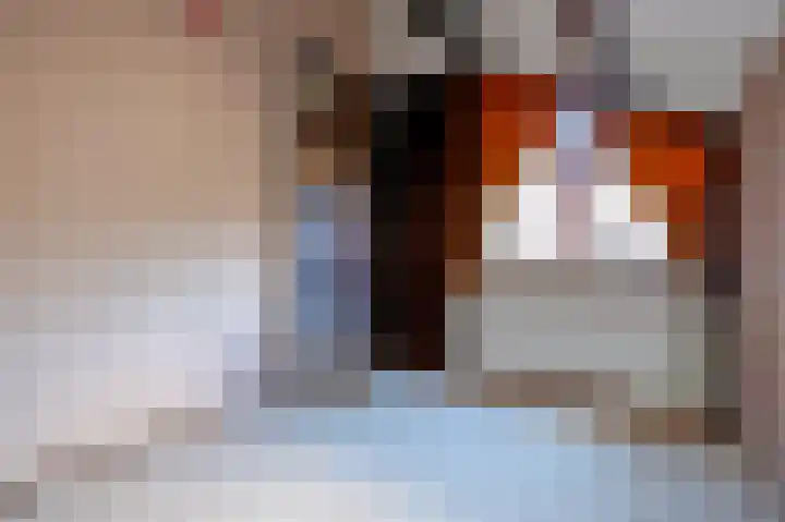 Kerspel 48 Vries thumbnail 27