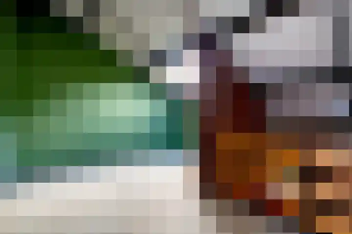 Kerspel 48 Vries thumbnail 30