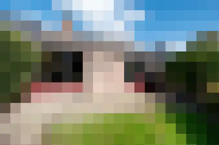 Kerspel 48 Vries thumbnail 37