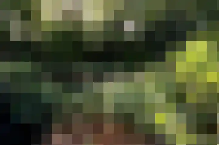 Kerspel 48 Vries thumbnail 41