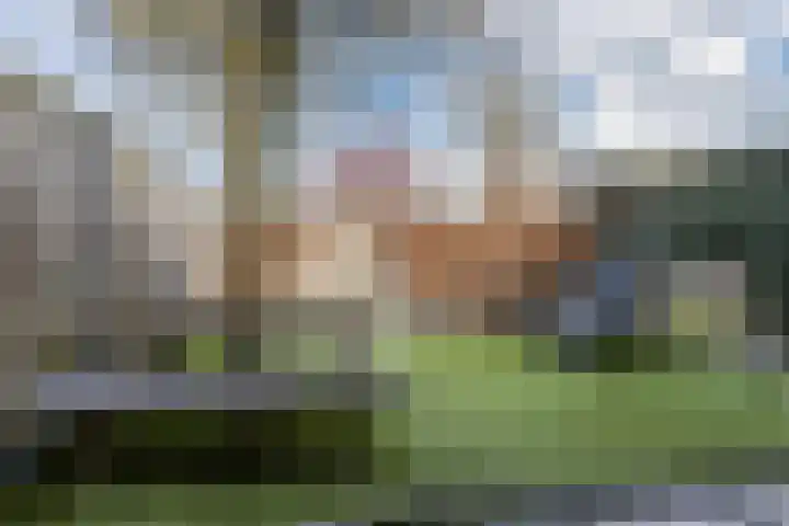 Kerspel 48 Vries thumbnail 42