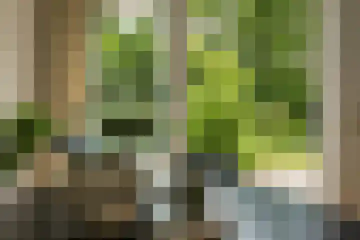 Kerspel 52 Vries thumbnail 15