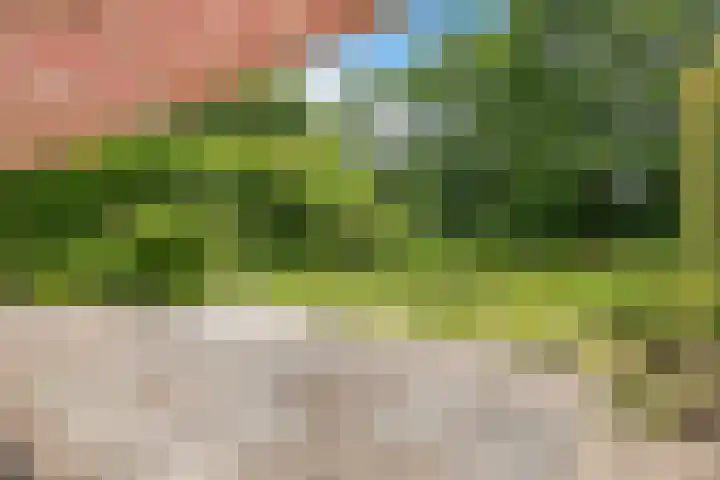 Kerspel 52 Vries thumbnail 17