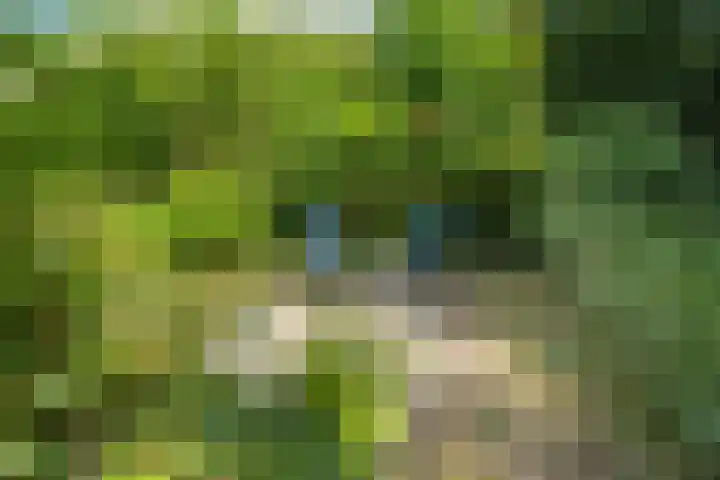Kerspel 52 Vries thumbnail 19