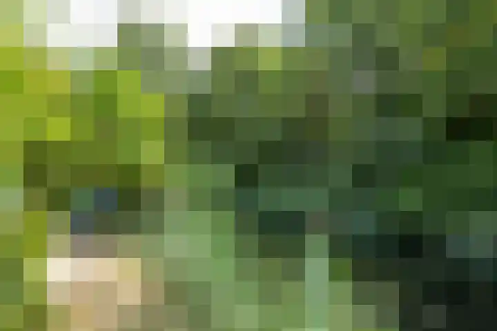 Kerspel 52 Vries thumbnail 20