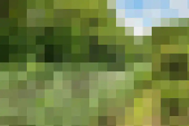 Kerspel 52 Vries thumbnail 21