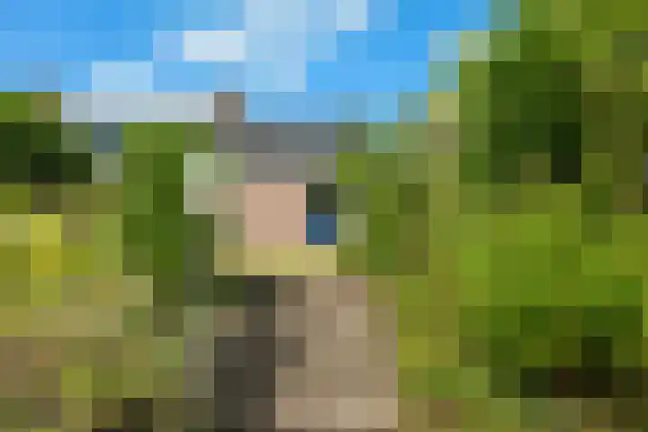 Kerspel 52 Vries thumbnail 22