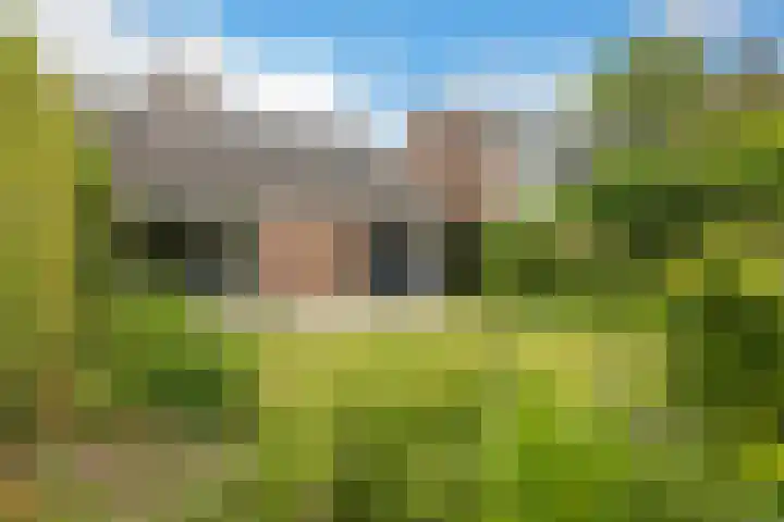 Kerspel 52 Vries thumbnail 23